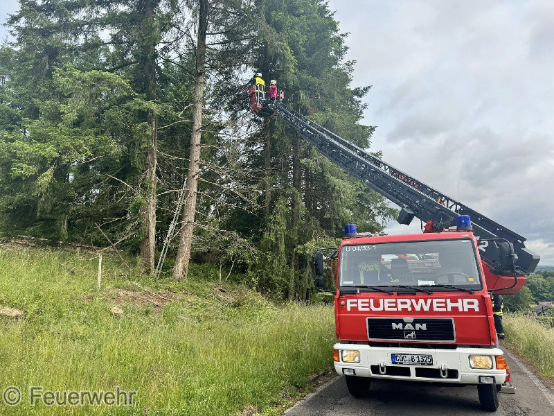 Technische Hilfeleistung Technische Hilfeleistung
