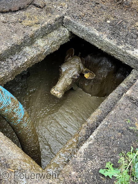 Technische Hilfeleistung Technische Hilfeleistung