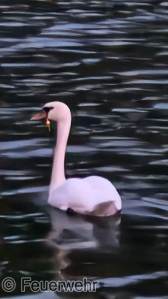 Technische Hilfeleistung Technische Hilfeleistung